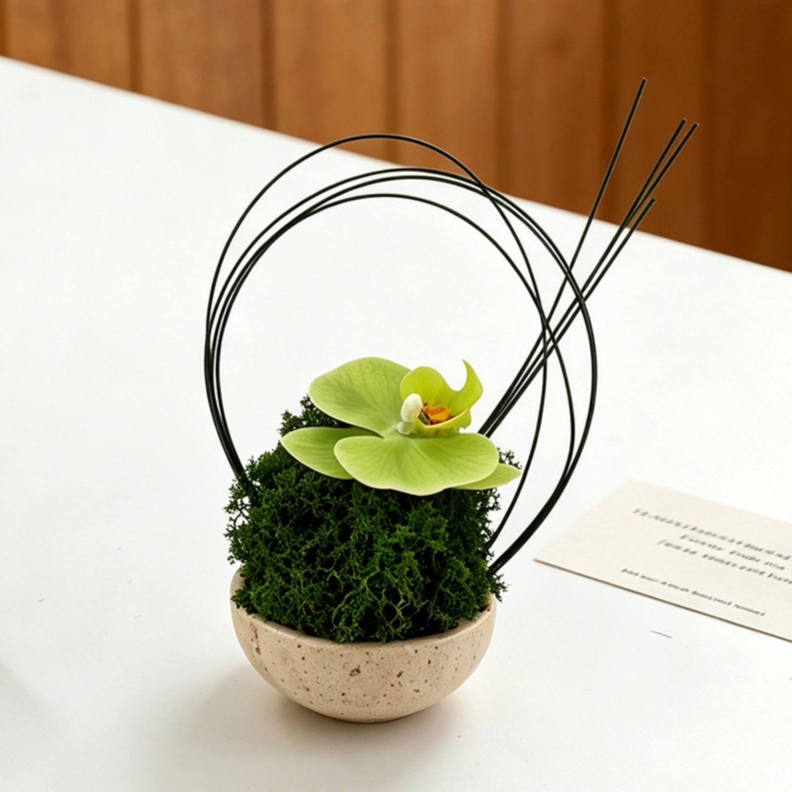 Artificial Orchid in Planter Sculptural Orchid with Ceramic Pot Modern for Desk