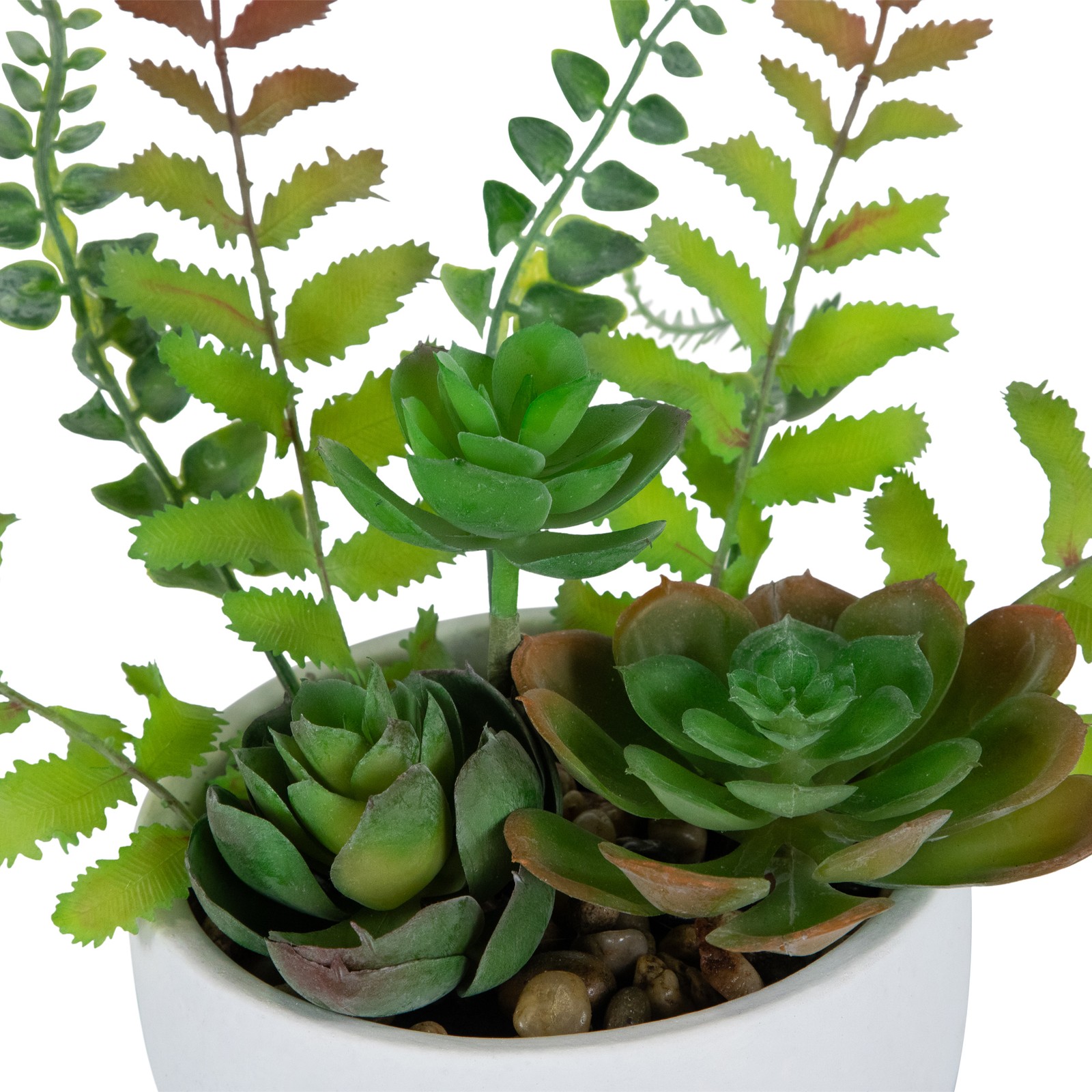 11.5″ Artificial Mixed Red and Green Succulent and Fern Plants in a White Crackl