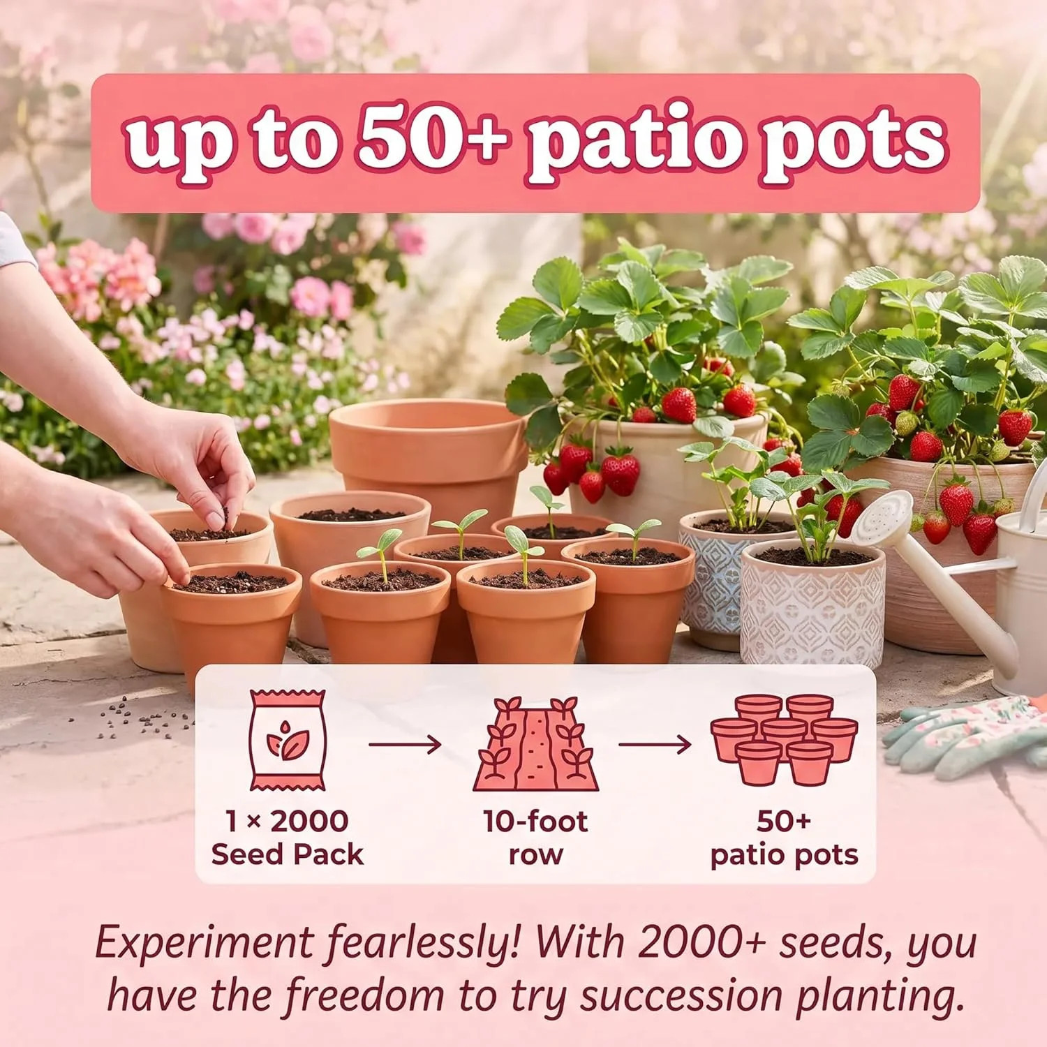 Cream Strawberry Seeds for Planting (Akihime Variety), 2000+ Heirloom Non-GMO Se