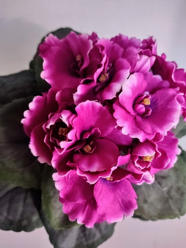9″ Artificial African violet (Fuchsia) without pot