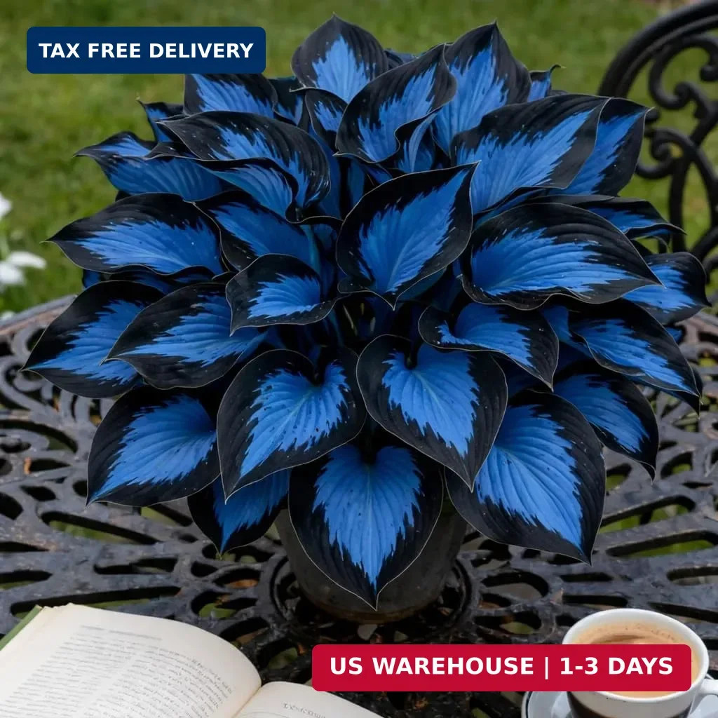 210+ Hosta Seeds – Rare Perennial Flower Seeds for Shade Gardens, Long Blooming