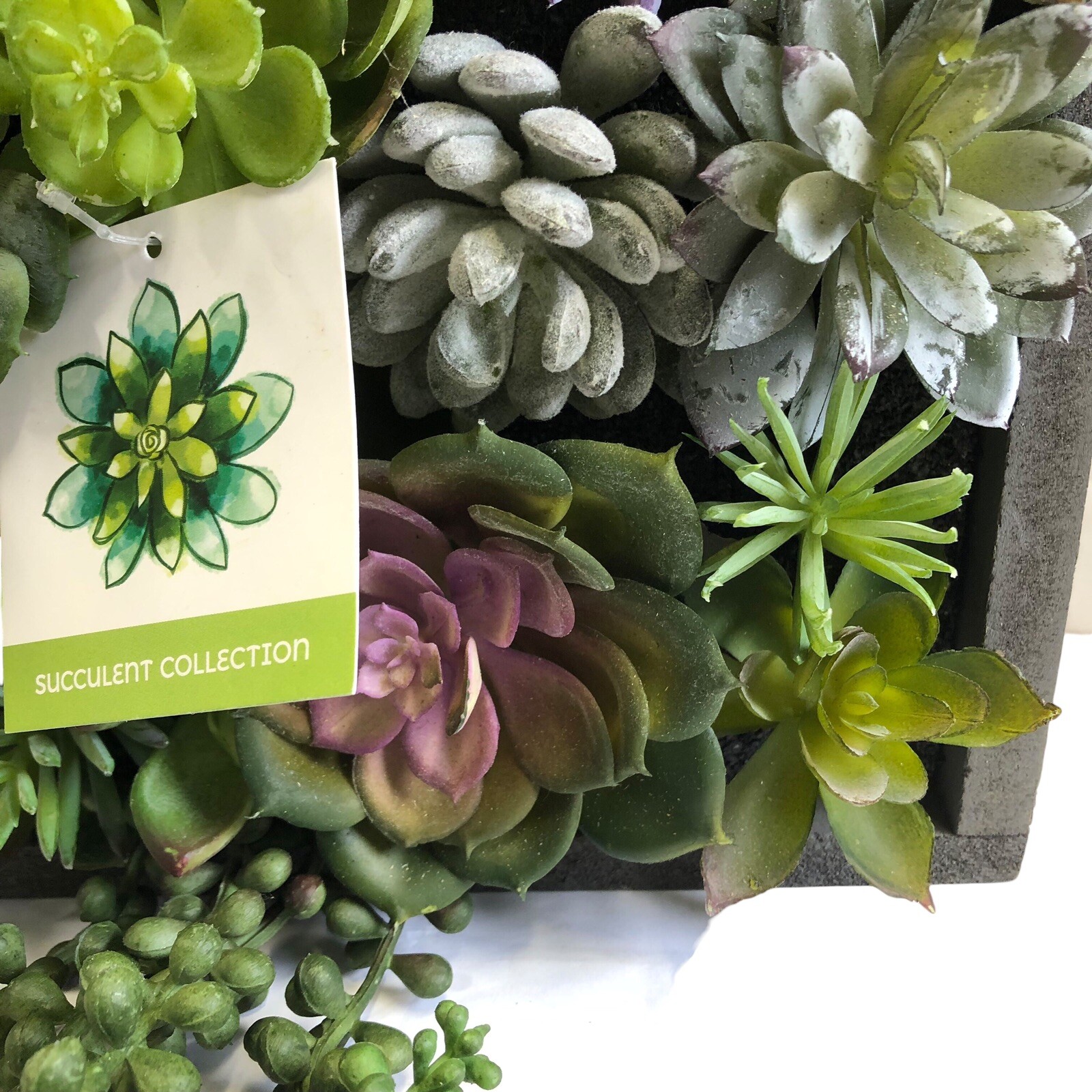 WALL OF FAUX SUCCULENT Cactus in Gray Wood Box Decor Display 12x12x3 inches New