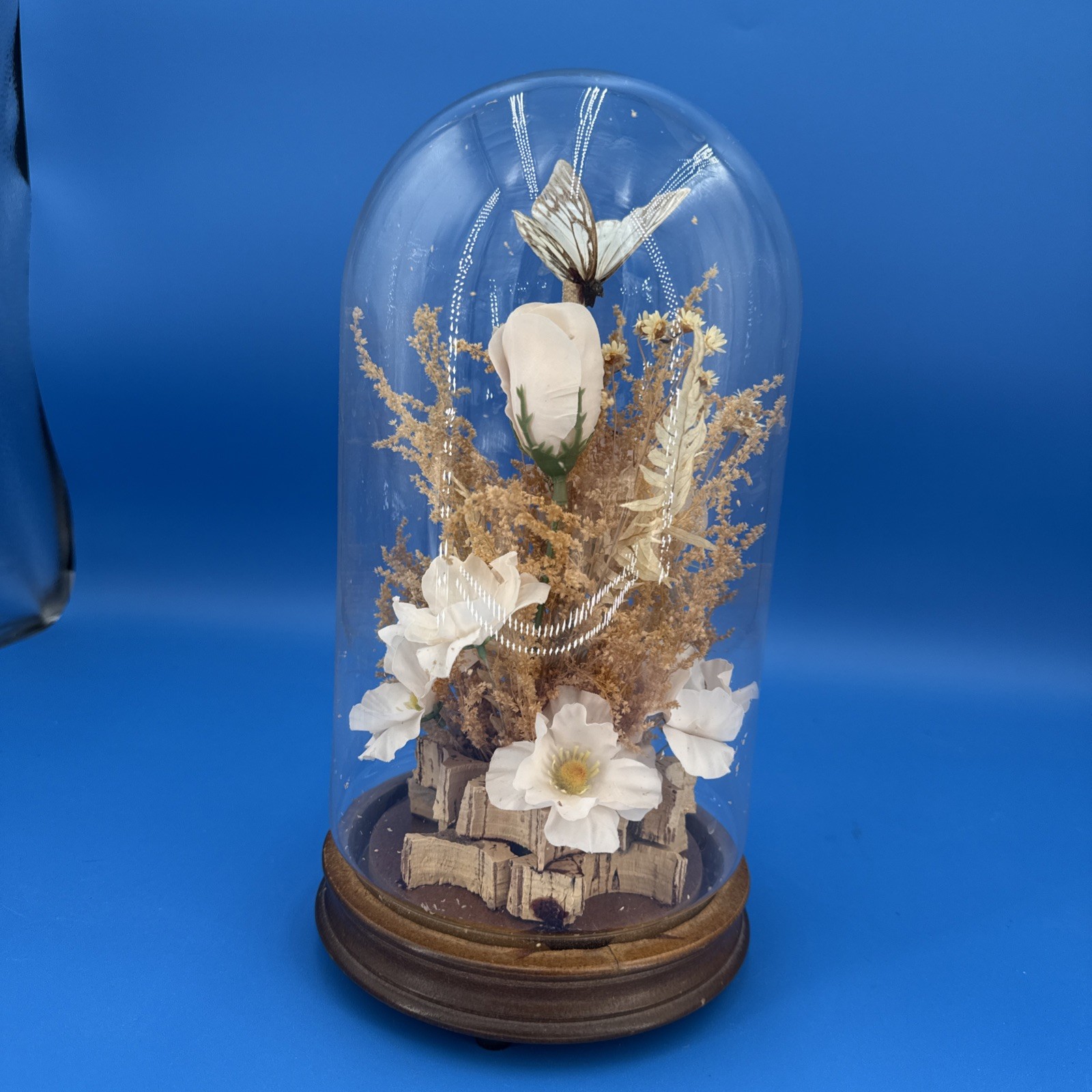 Vintage Butterfly & Flowers Under Glass Dome Wood Base