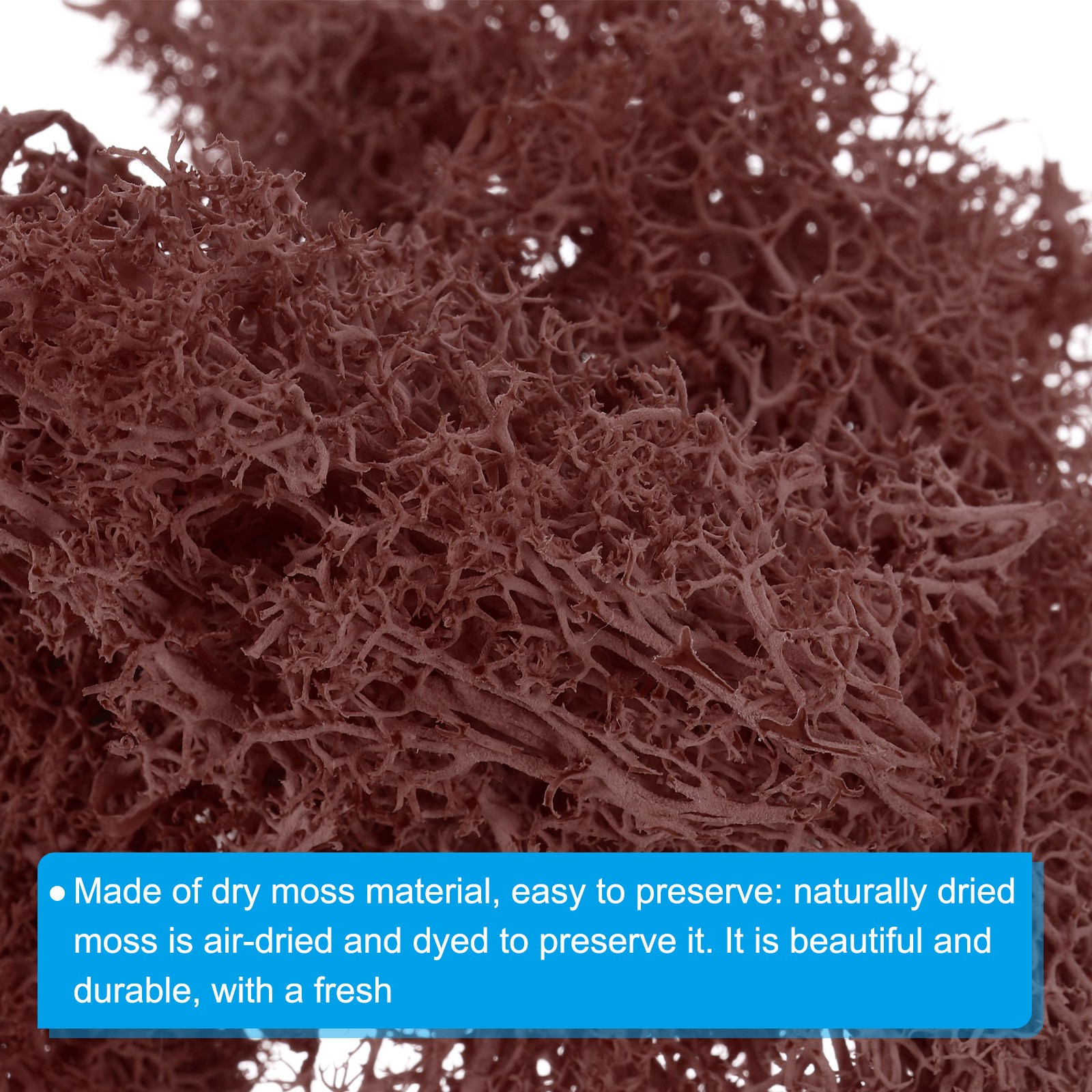 1.8 OZ Fake Moss Preserved Reindeer Moss Artificial Moss Lichen Centerpieces Red