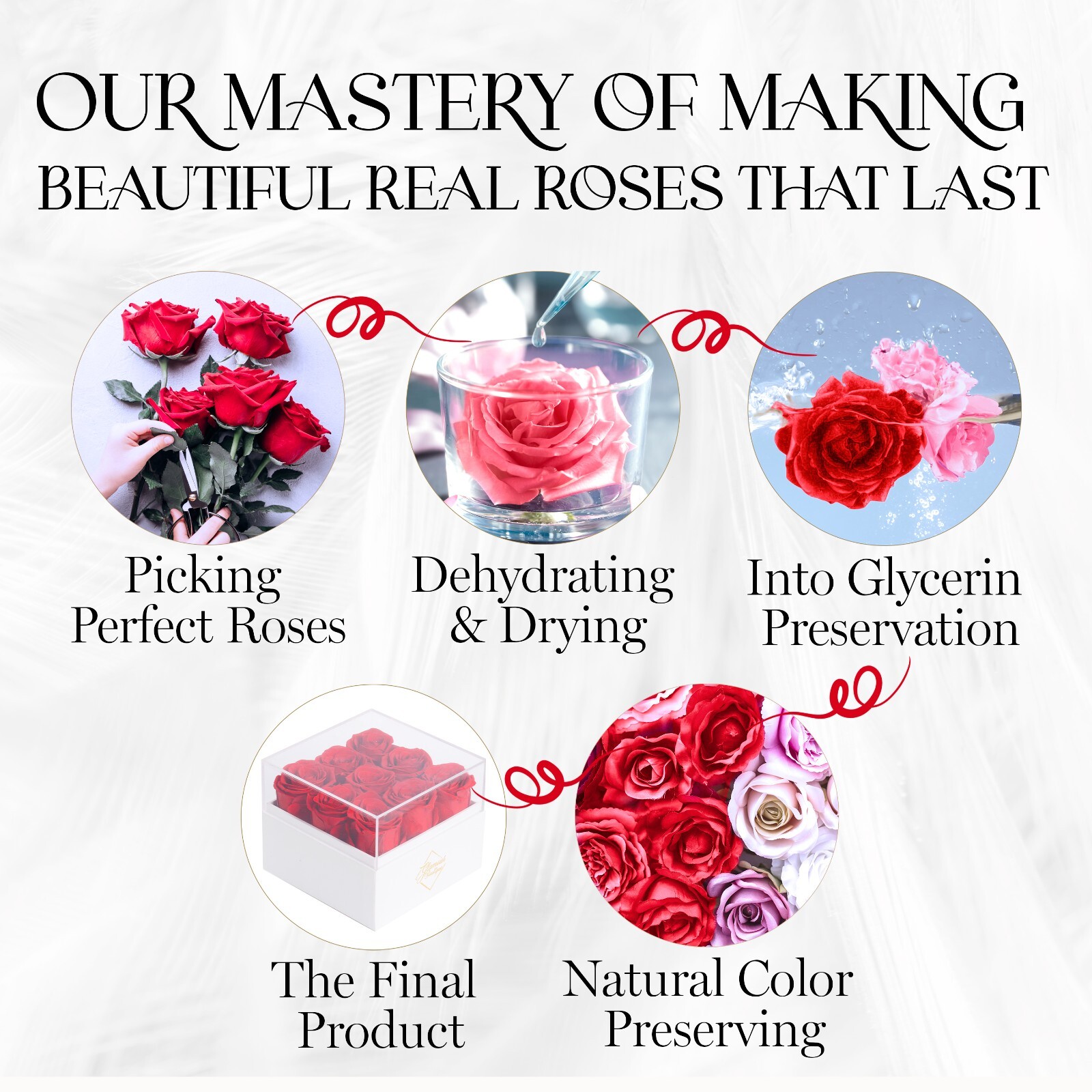 Glamour Boutique Preserved Roses in a Box 9-Piece Flowers Decor in Square Box