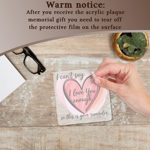 I Love You Gifts for Her Him, I Can’t Say Acrylic Plaque Sign, Valentines Day