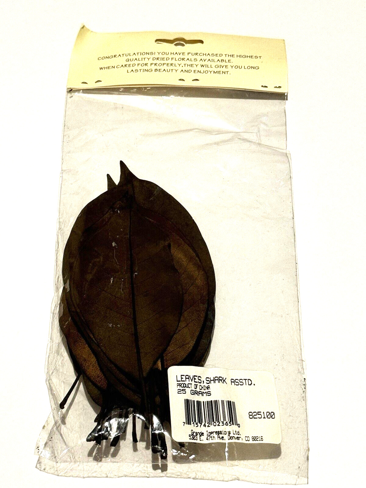 Grand Impressions Dried Florals Leaves Shark 825100 Wedding Craft Decor NEW READ