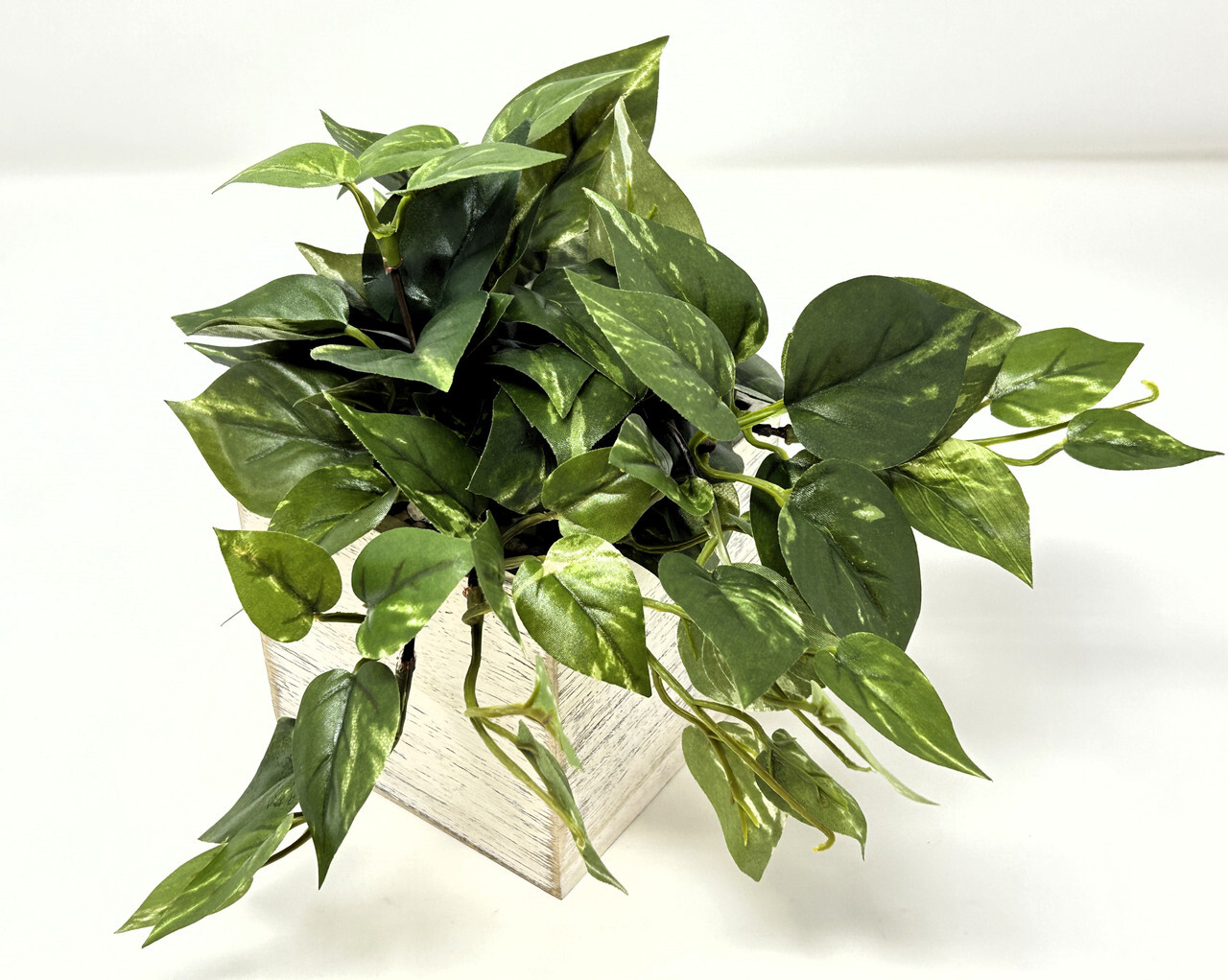 8″ Potted faux Green-White Variegated Pothos Vine Silk plant in White wood box,
