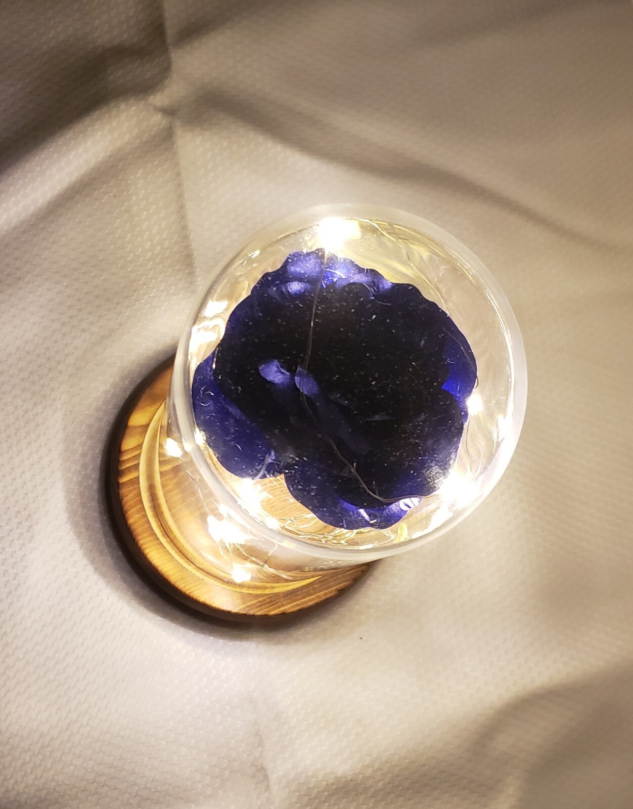 Dark Blue And Gold Forever Rose Led Glass Dome