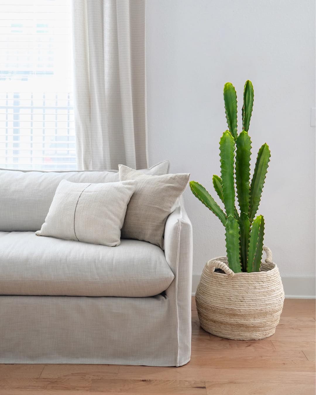 32.5″ Tall Fake Cactus Plant Potted ‘Euphorbia Accruensis’ – Large Artificial…