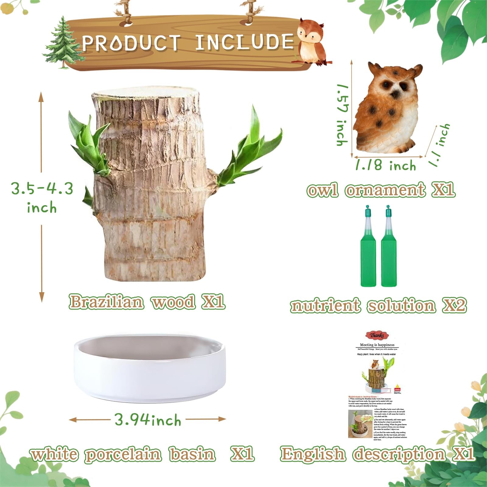 Brazilian Lucky Wood Plant,Fortune Brazil Wood Potted Plant with Owl Figurine…