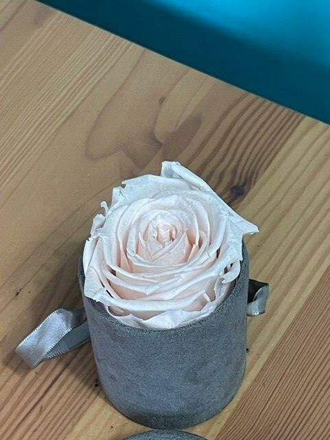 VENUS ET FLEUR FLOWER ROSE SCENTED LE MINI ROUND BOX PRESERVED ROSE DECOR