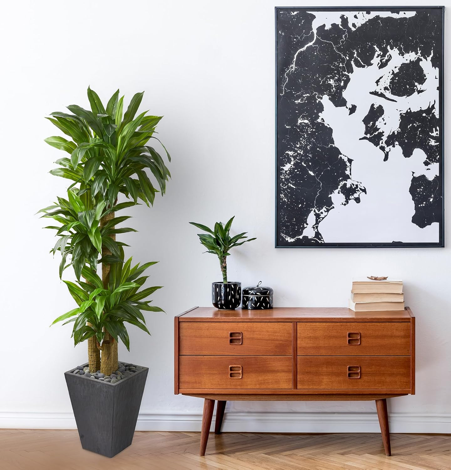 Lifelike 5.5Ft Cornstalk Dracaena Plant in Slate Planter – Real Touch Design