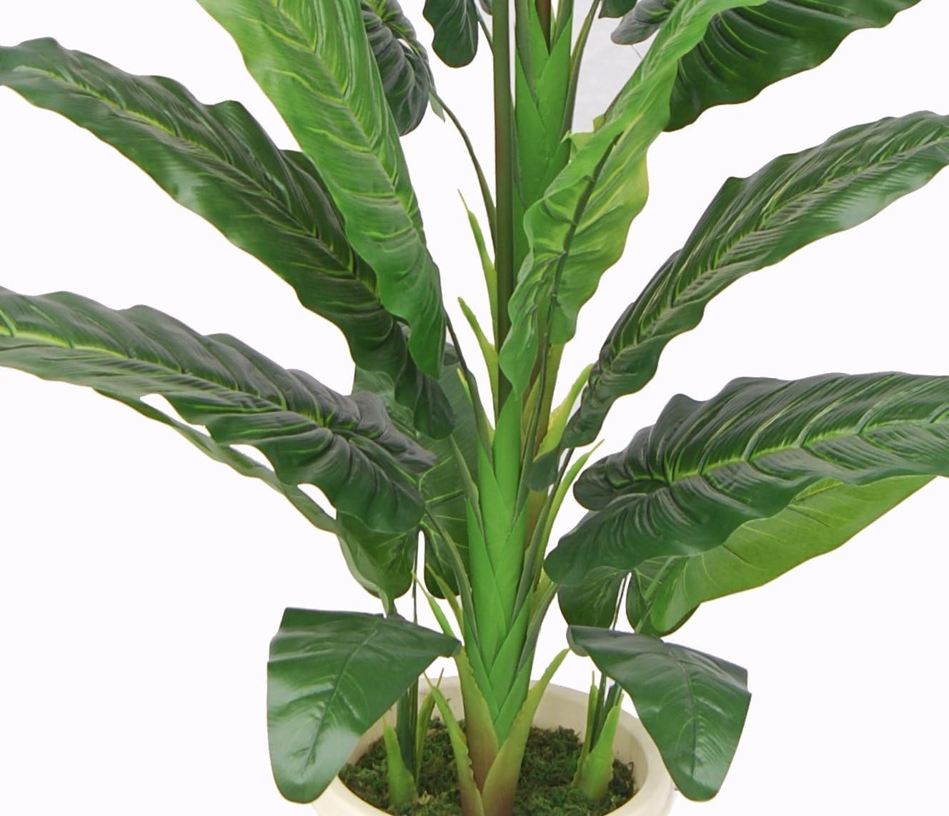Stunning 5′ Paradise Bird Flower Plant – Real Touch, UV Protected, Indoor/Outdoo