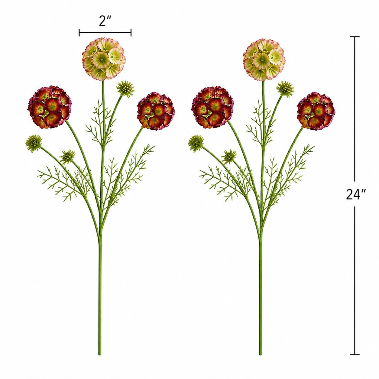 Artificial Scabiosa Flower Stems Green Blush Burgundy Faux Wildflower Cottage Fl