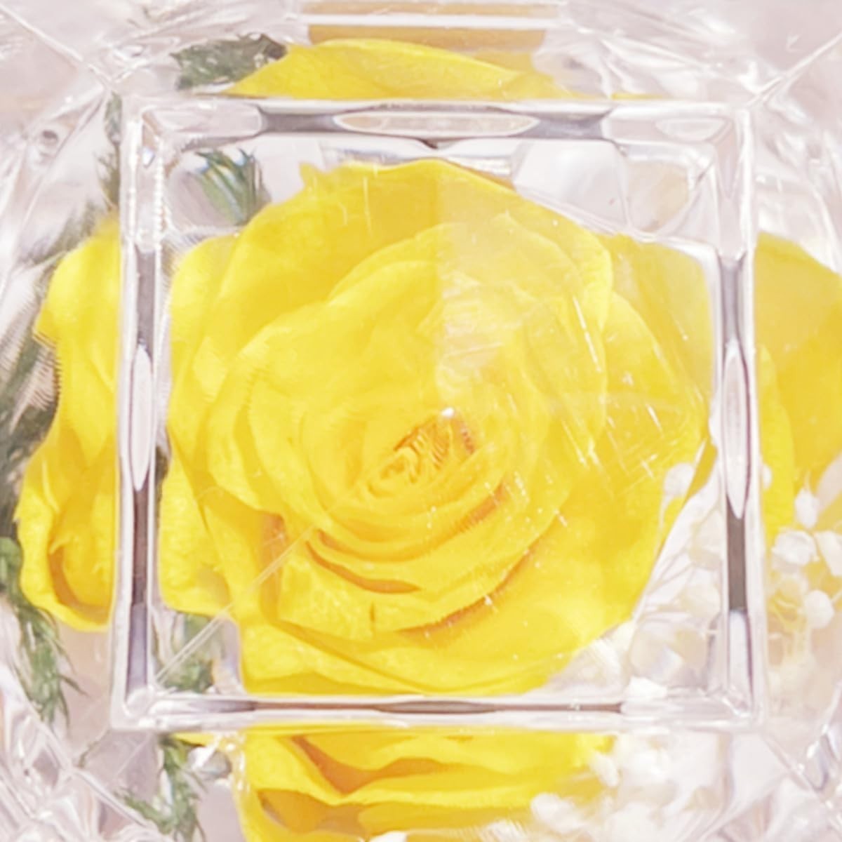 Preserved Rose Real Fresh Rose in Mini Clear Ring Box, Eternal Flower Rose Gifts