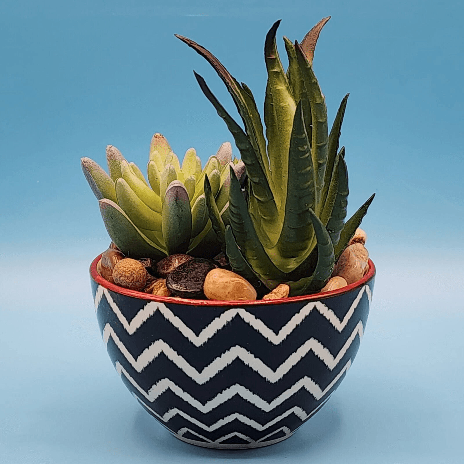 Faux Succulent Simulated Potted Plant Black White Red Chevron Pot Rock Accents