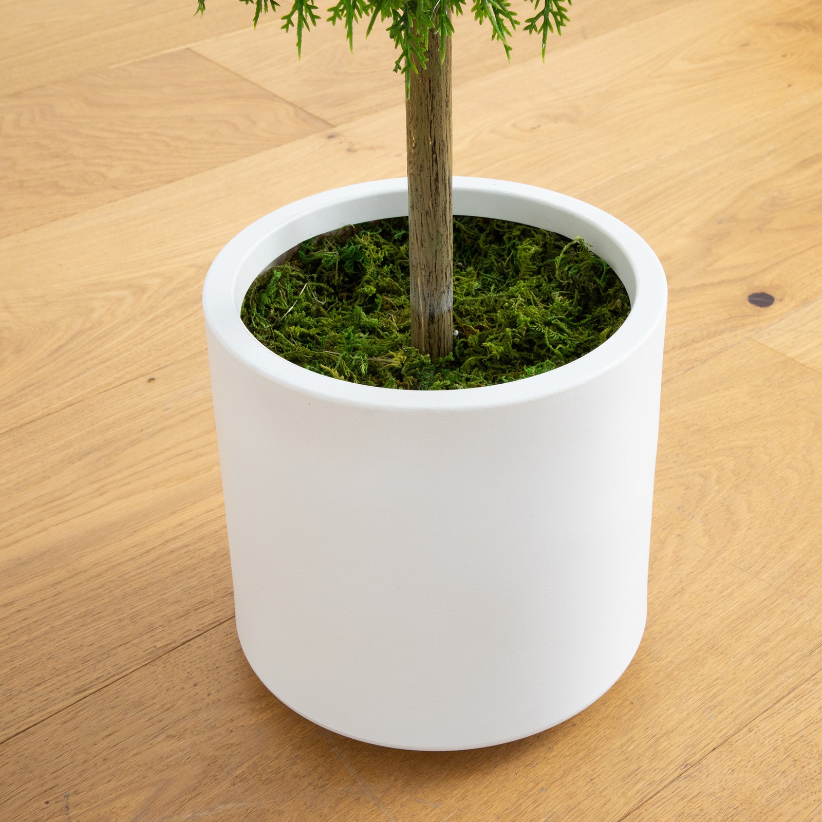 Nearly Natural 2.5ft UV Resistant Cedar Ball Topiary Tree in White Planter