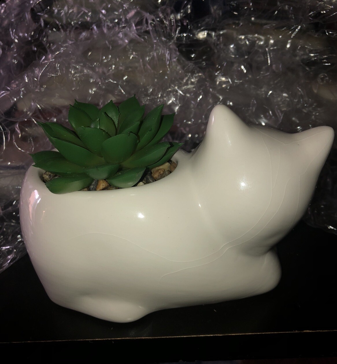 Cat Ceramic Vase W/Faux Succulent In Pebbles. 4 Inches High Including Plant New