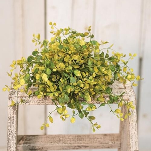 NEW Primitive BOG PIMPERNEL HALF SPHERE Green Old Gold Olive Summer 12″ W