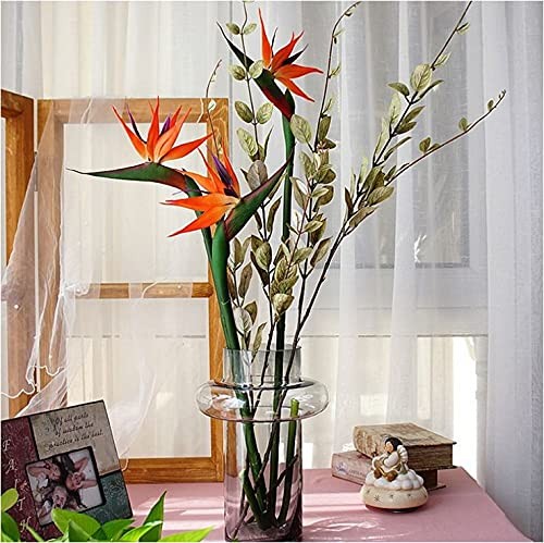 3 PCS 32 Inch Orange Red Large Bird of Paradise Permanent Artificial Flower, …