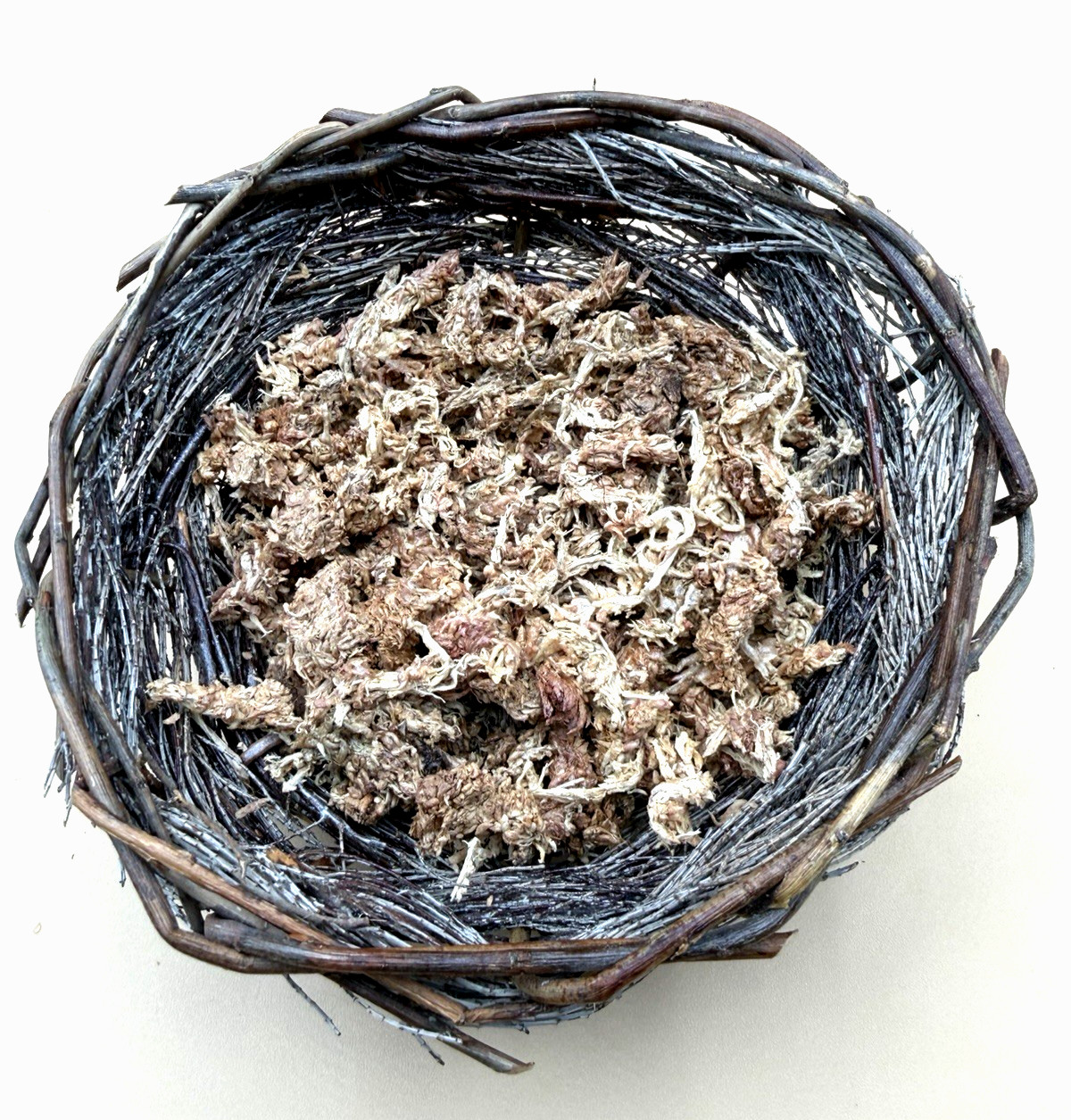 SET of 6 small Birds in Bird Nest (Man Made) – Resin or Ceramic?? – Unbranded