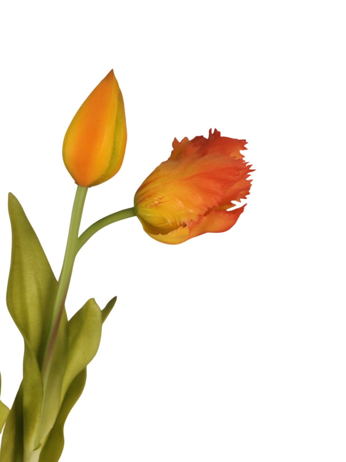 Faux Parrot Tulip Bouquet Set of 5 15 Inch Artificial Spring Flowers Easter Wedd