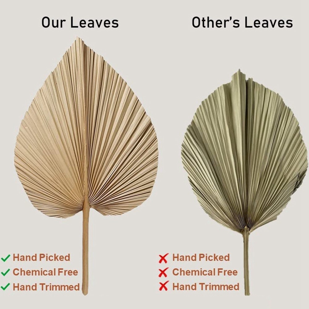 4 Pieces Natural Dried Palm Leaves are Perfect for Palm Leaf Decor, Boho2149