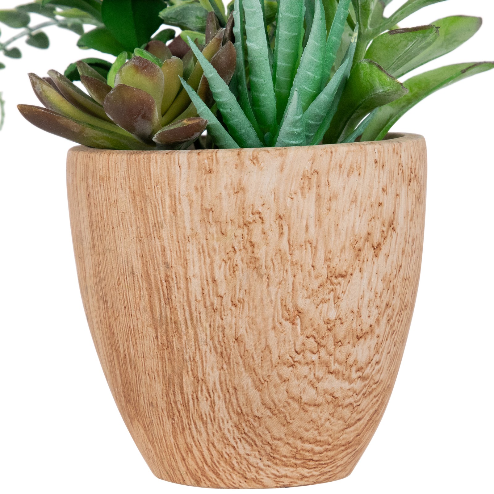 Potted Artificial Mixed Succulents and Fern Arrangement – 12″
