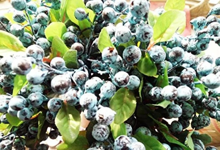 Mistari 10 Pack Artificial Flowers California Faux Blueberries Assorted Sizes