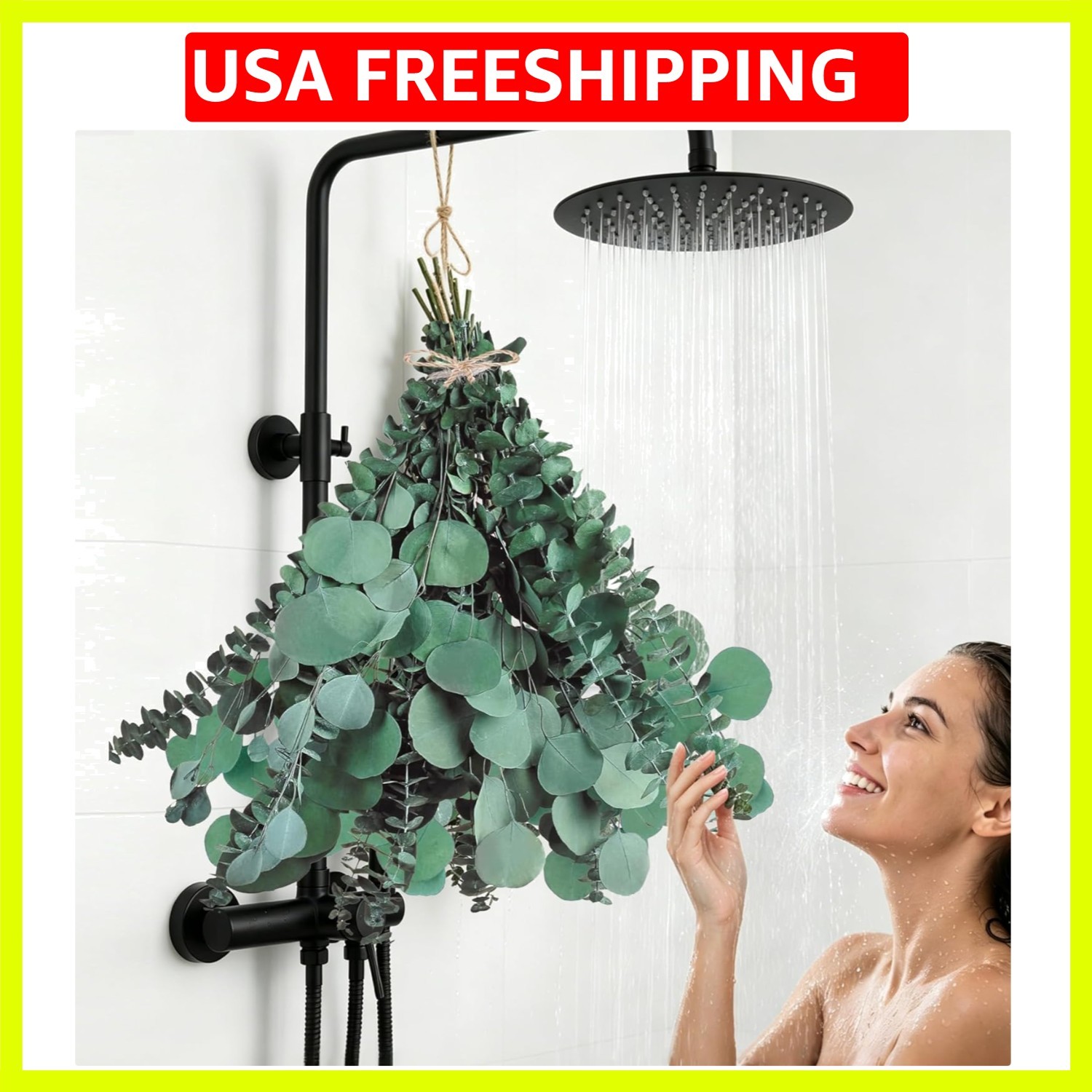 12 Pcs Large Dried Eucalyptus & Silver Dollar Leaves Bundle – Natural Real Fr…