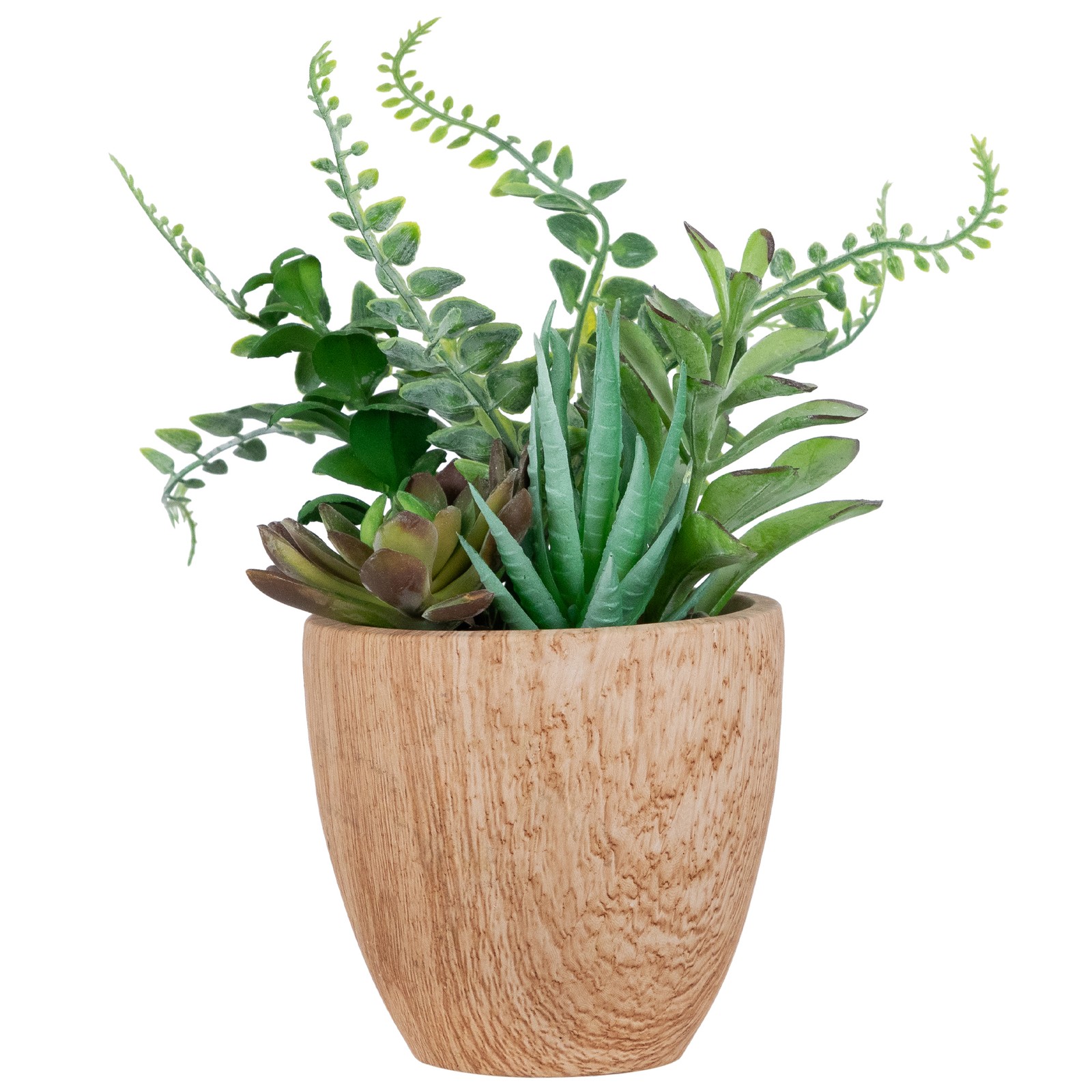 Potted Artificial Mixed Succulents and Fern Arrangement – 12″