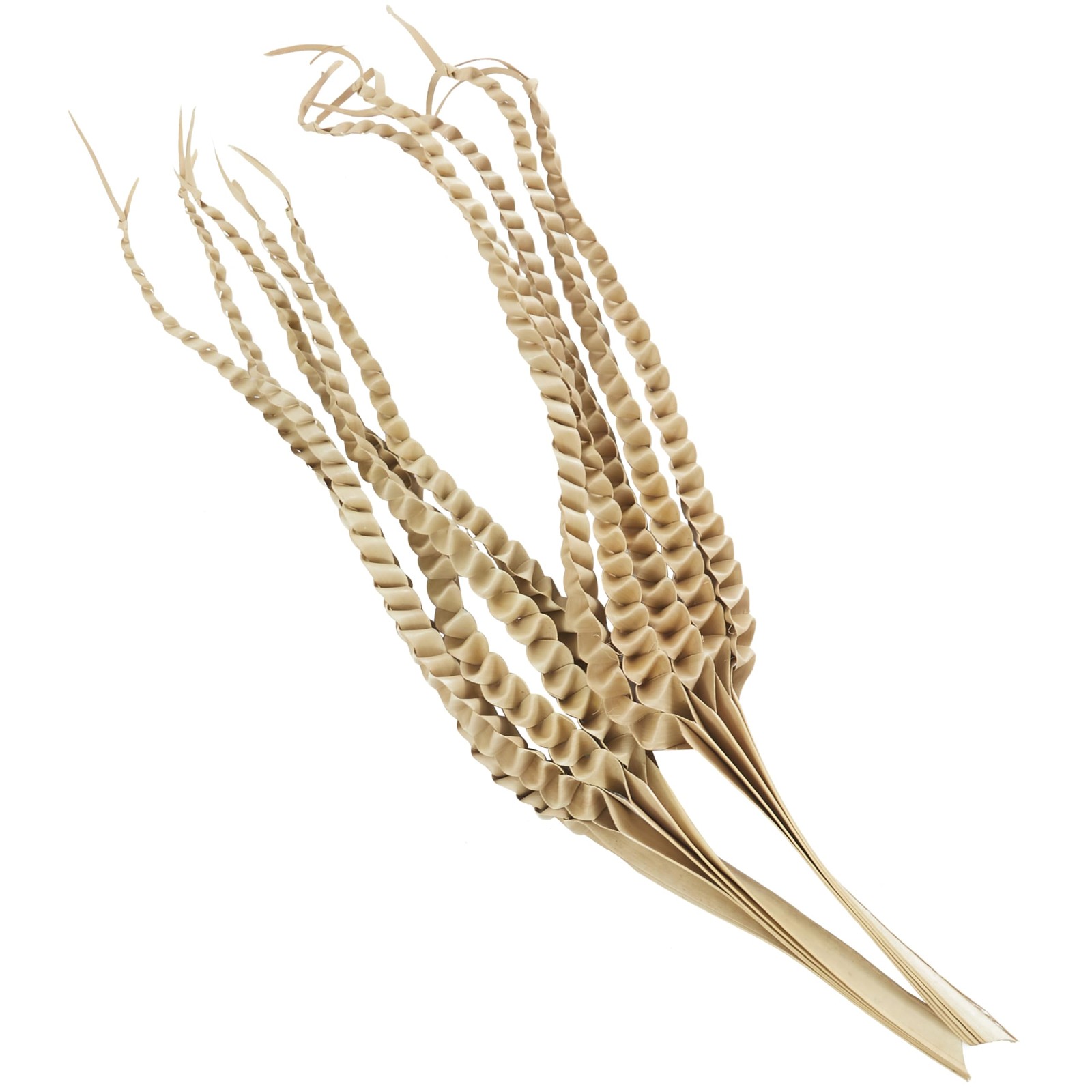 Dried Plant Palm Leaf Handmade Tall Five Finger Natural Foliage, 10″ x 4″ x 3…