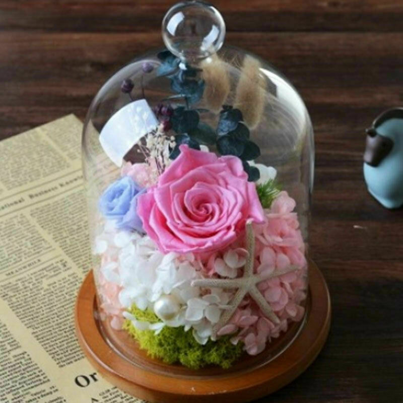 7.87″ Glass Display Bell Jar Dome Cloche Base Decorative Stand Immortal Flower