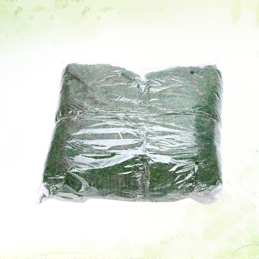5 Packs Durable Lifelike Moss for DIY Mini Garden House Decoration Green