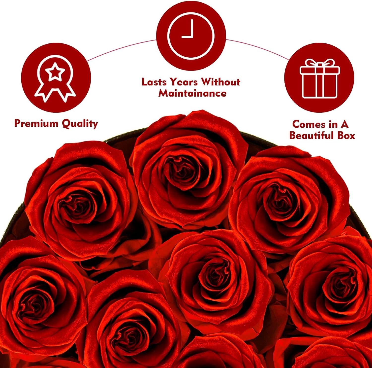 Forever Flowers,12 Red Roses in A Box, Real Preserved Roses, Birthday Gift fo…