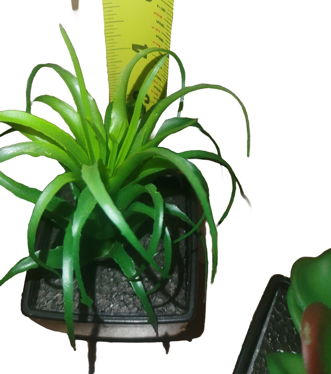Jade And Tilliandsia Small Fake Plants For Window