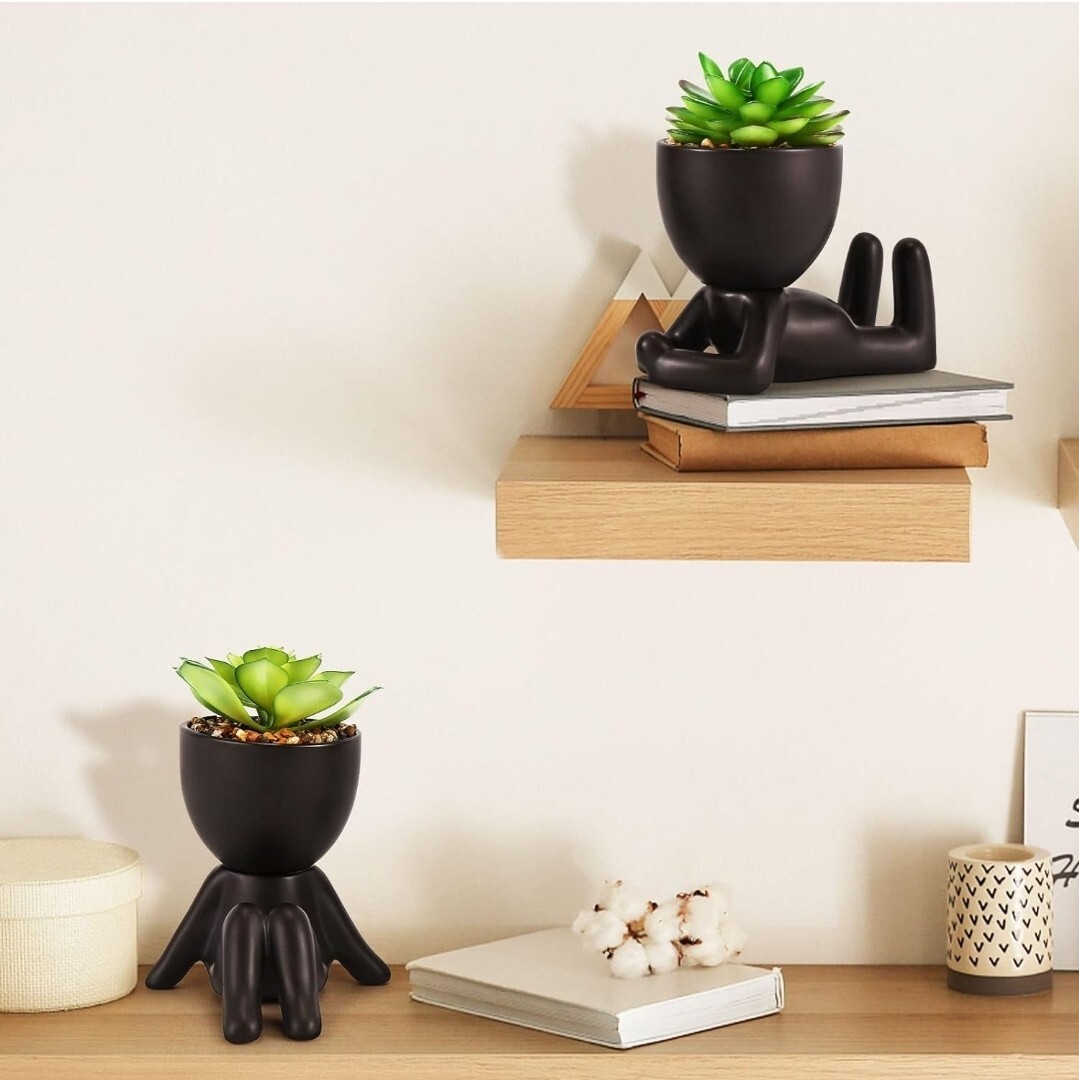 Fake Succulents, Artificial Plants Succulents in Black Modern Human Shaped