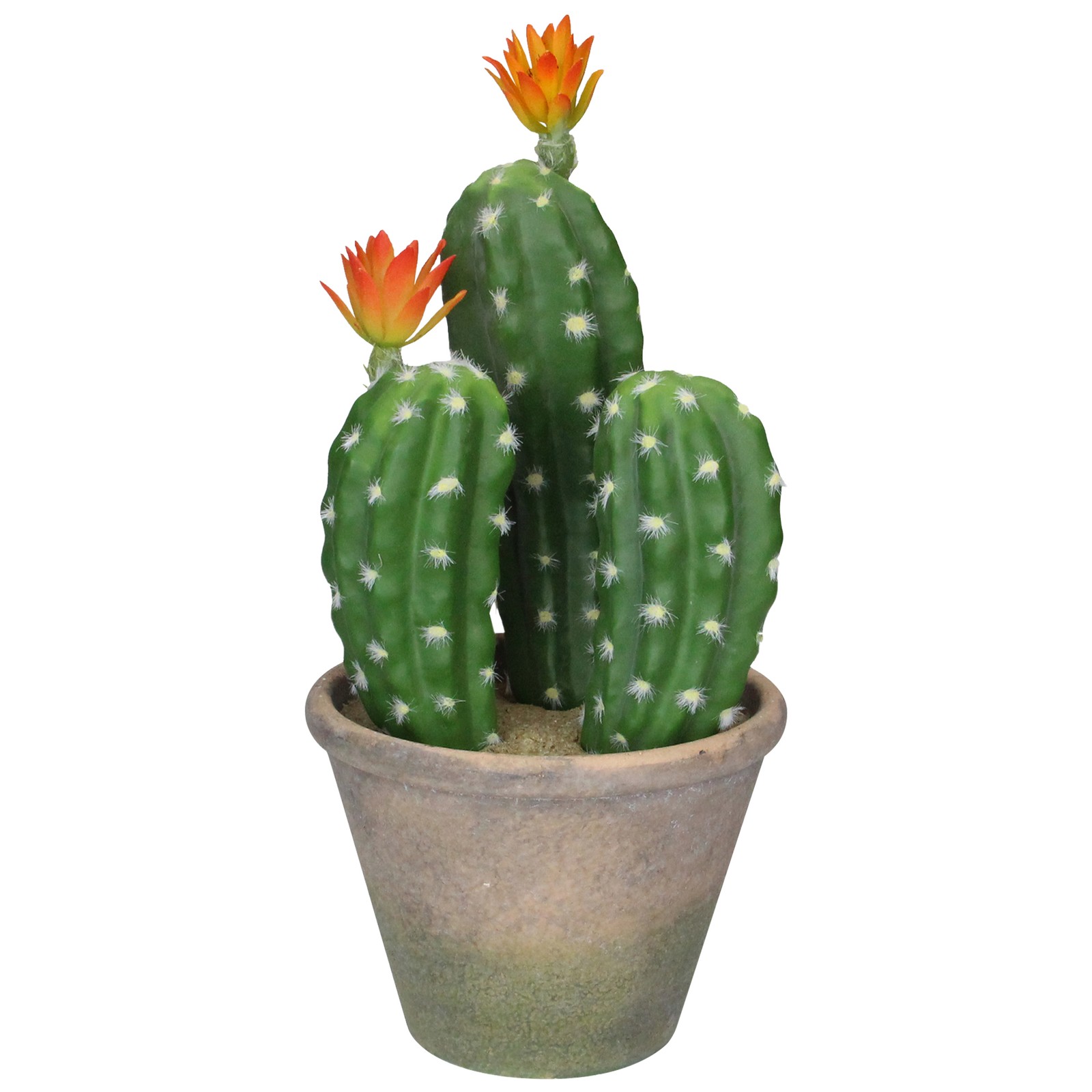 Allstate 12.5″ Green Flowering Column Cactus In A Ceramic Pot With Flowers