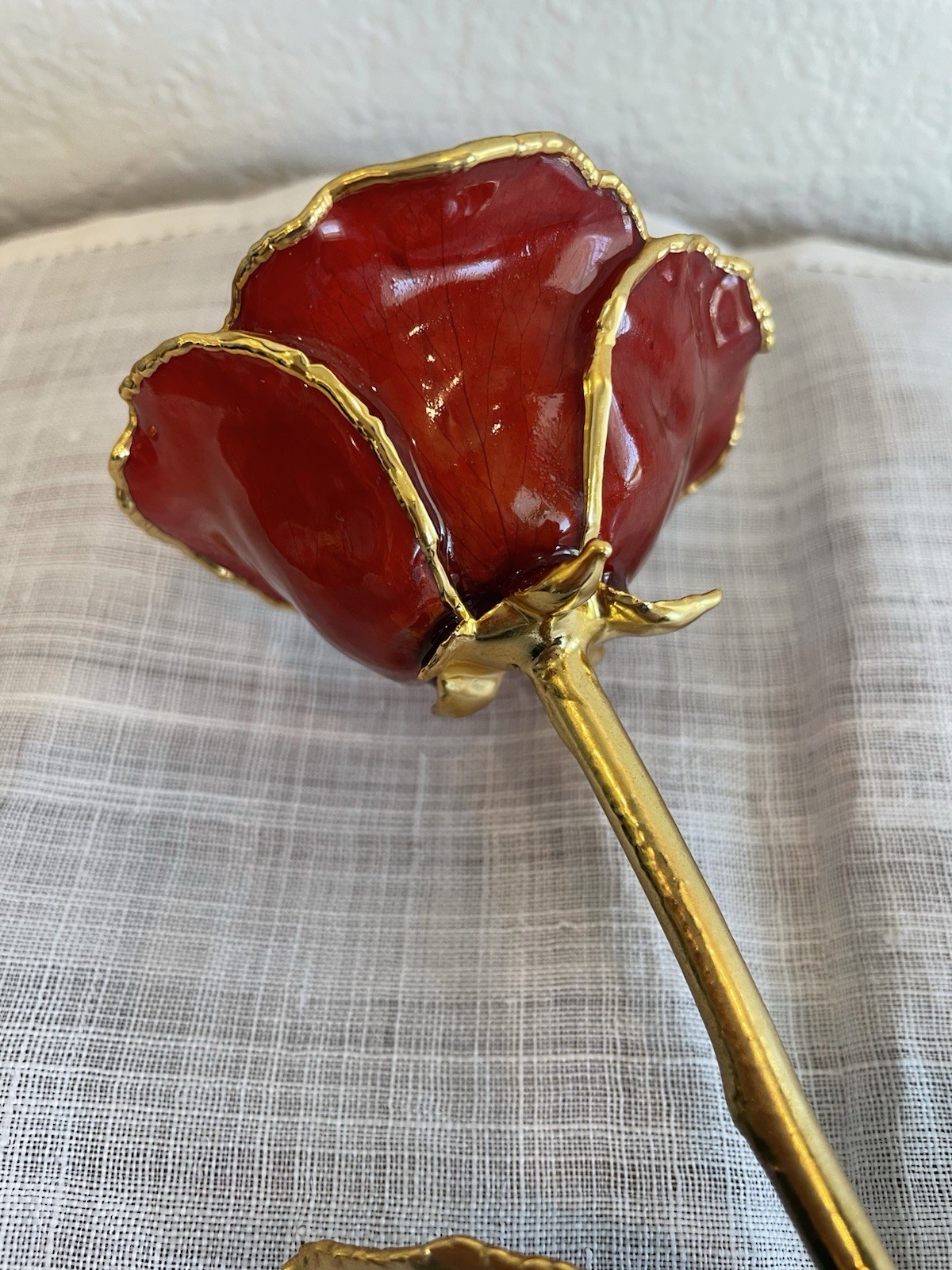 Burgundy Rose Preserved in Lacquer with 24k Gold Plating on Petals and Stem