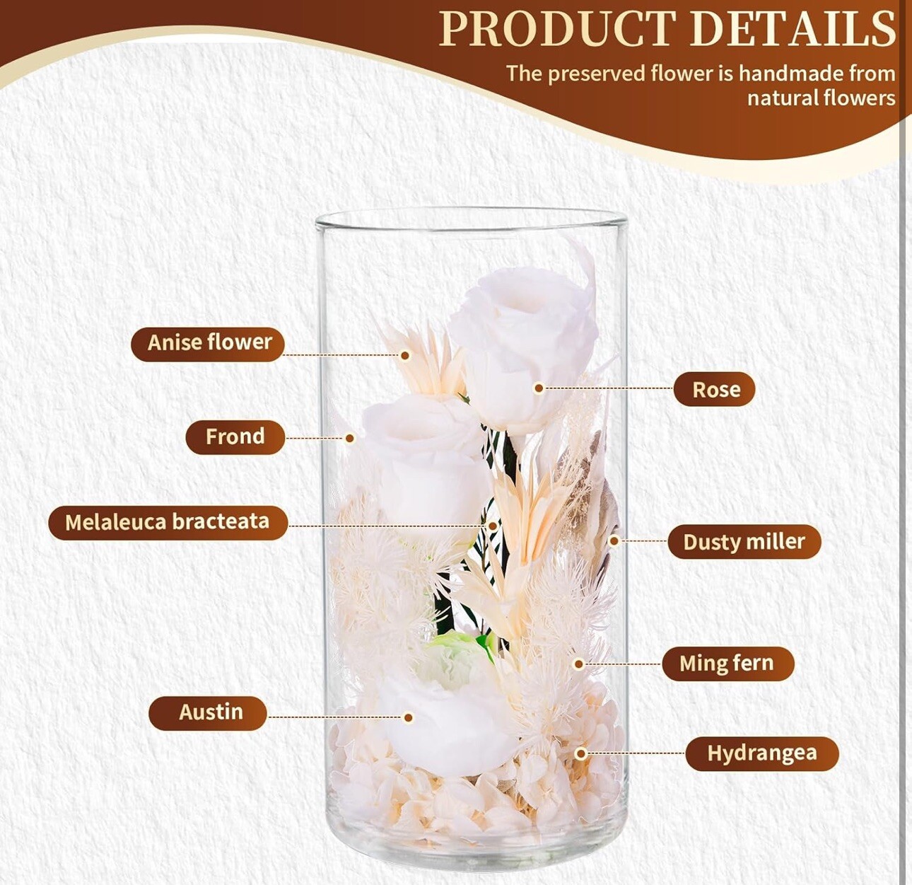 VGNQA Preserved Rose in Glass Dome White Dried Flower Arrangement Gift for Women