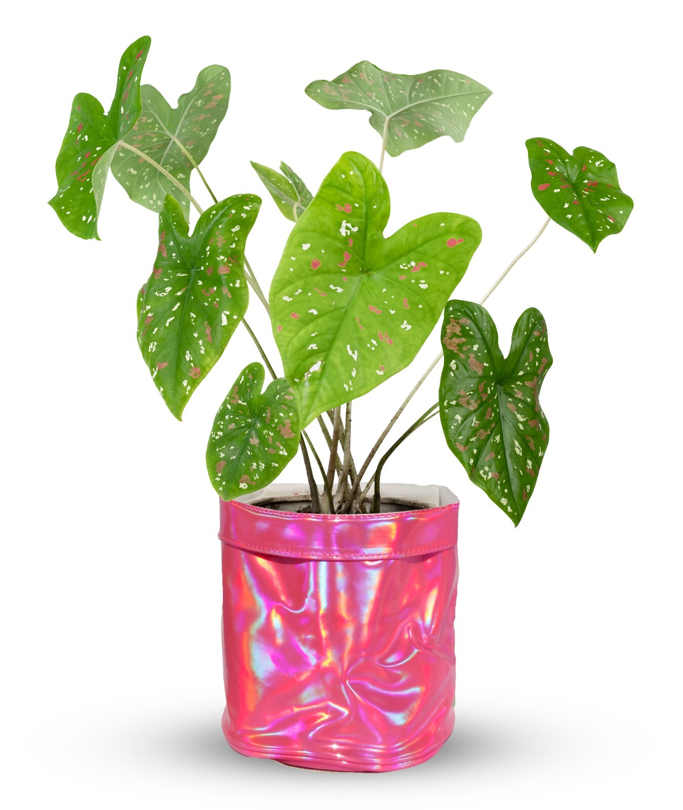 Decorative Flower Pot Cover With Saucer – Plant Basket for Up to 6″ Planter