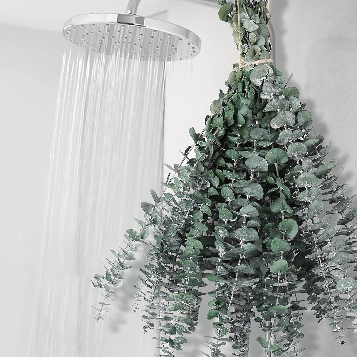12 tallos de eucalipto secos para ducha Hojas de eucalipto preservadas de 43 cm