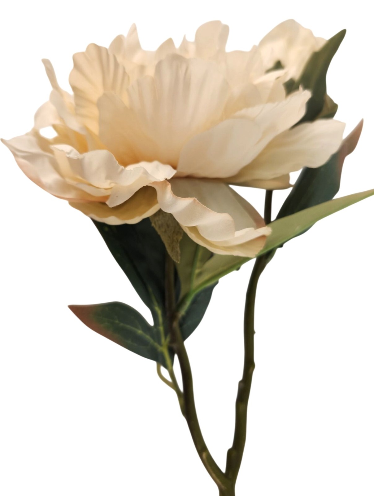Cream Artificial Peony Stem 18 Inch Faux Peony Flower Stem Wedding Bouquet Flora