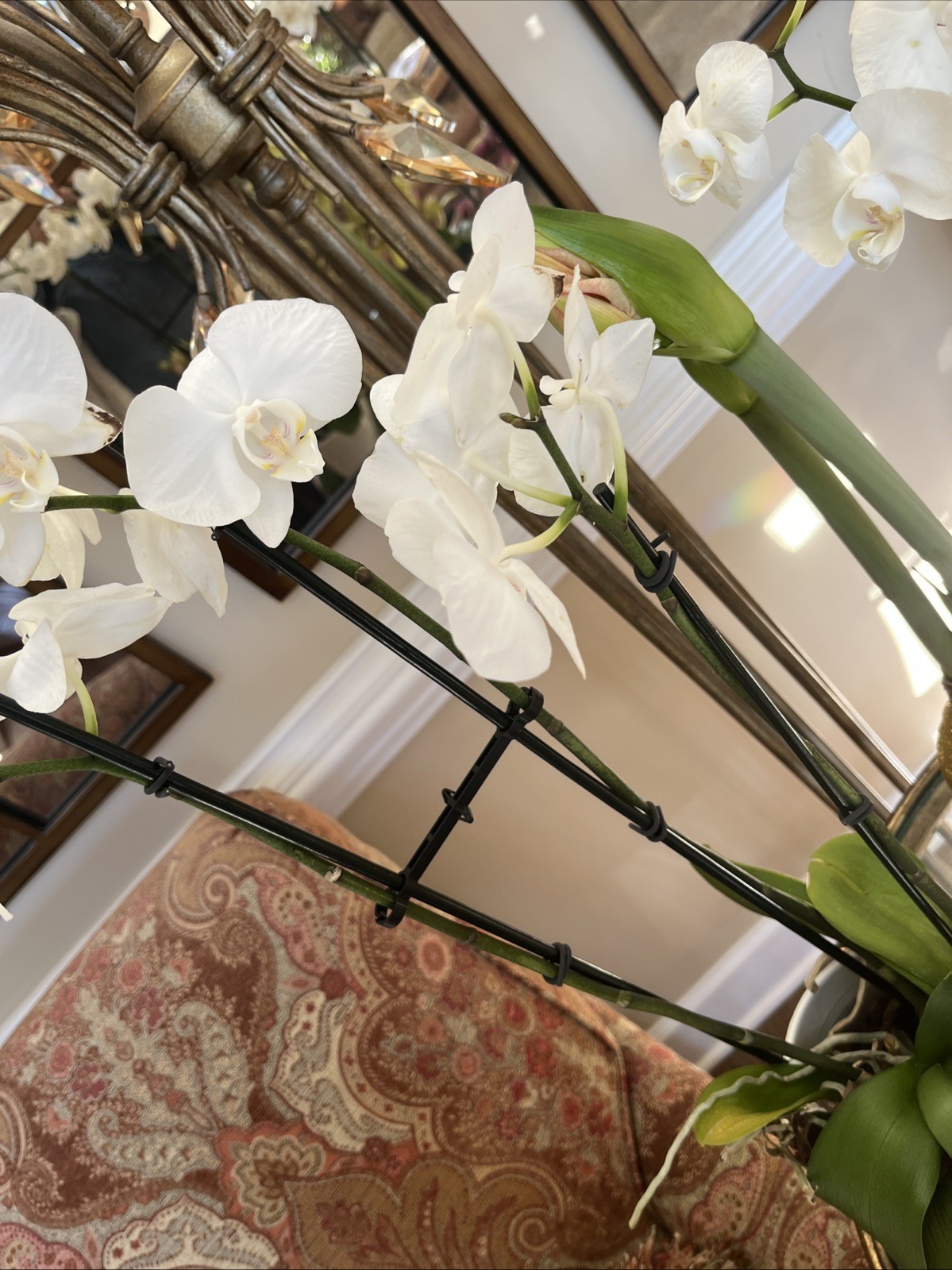 Uttermost – Gorgeous Faux Orchids ***PAIR 18” Tall 12” Tall TWO for Price ONE!