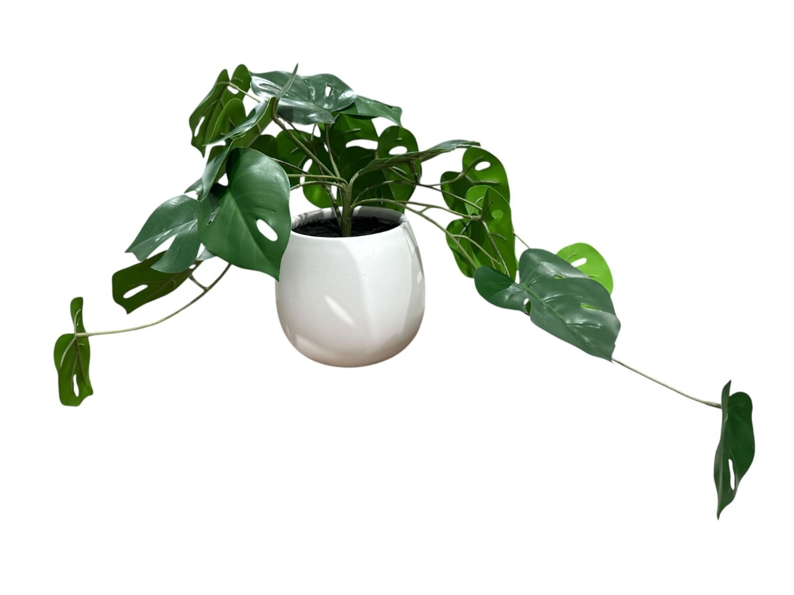 Artificial Monstera Leaf Plant In White Ceramic Pot By Threshold