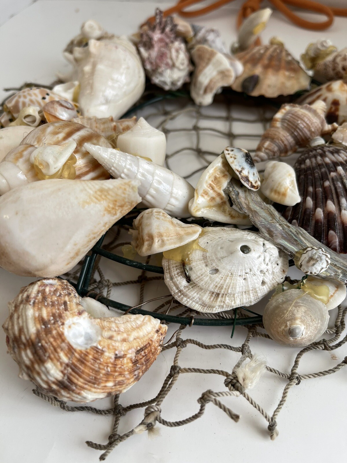 Vintage Sea Shell Wreath Coastal Home Decor Hand Crafted Real Shells Abalone 8”