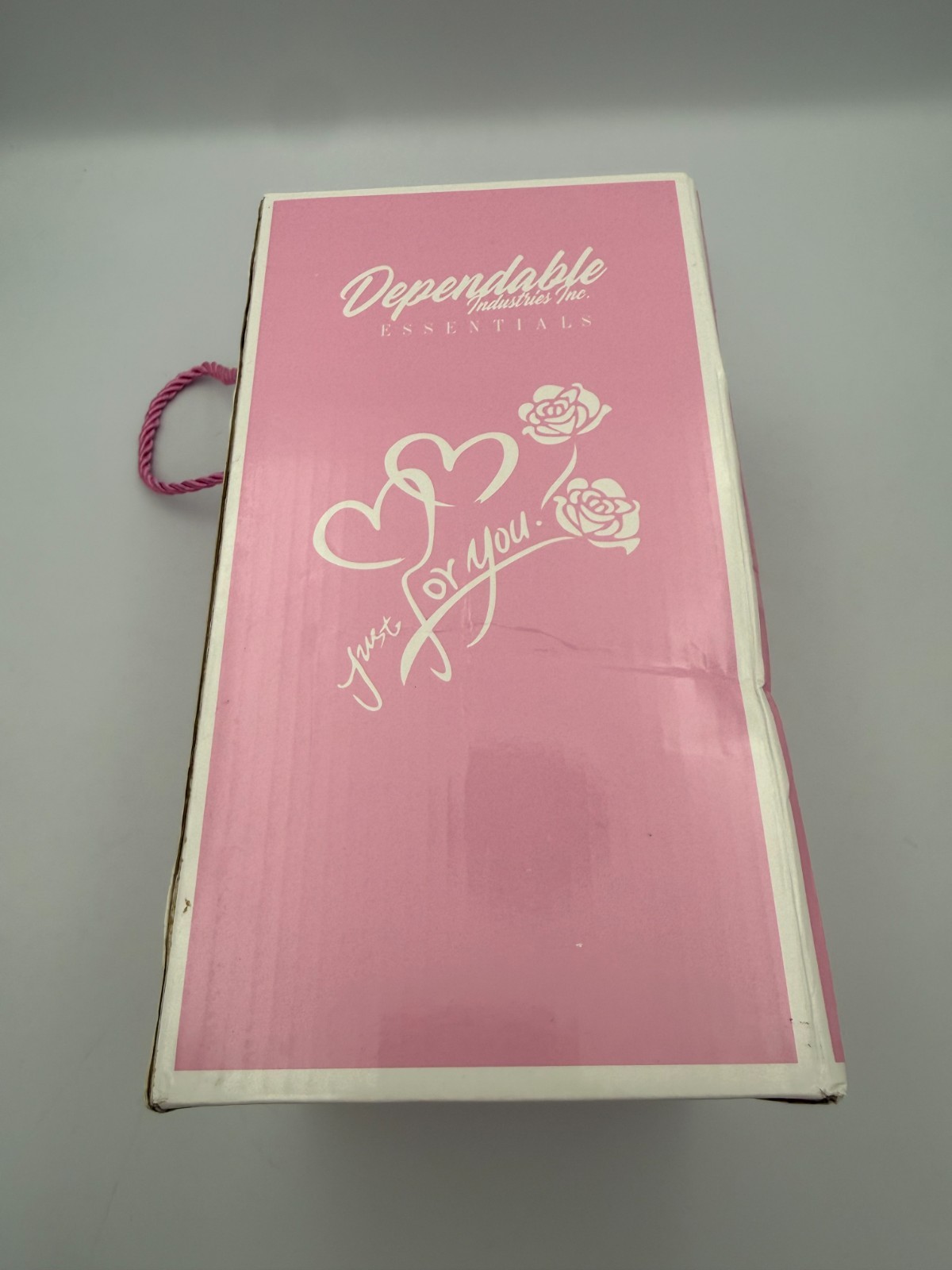 Dependable Industries Red Rose In Glass Dome LED Light Up Gift