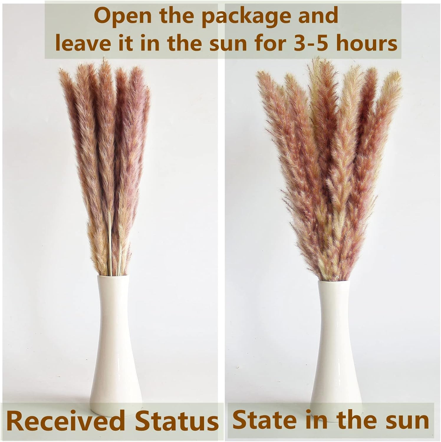 110 PCS of Boho Pampas Grass Decor, Naturally Dried Pompas, Bunny Tails Dried Fl