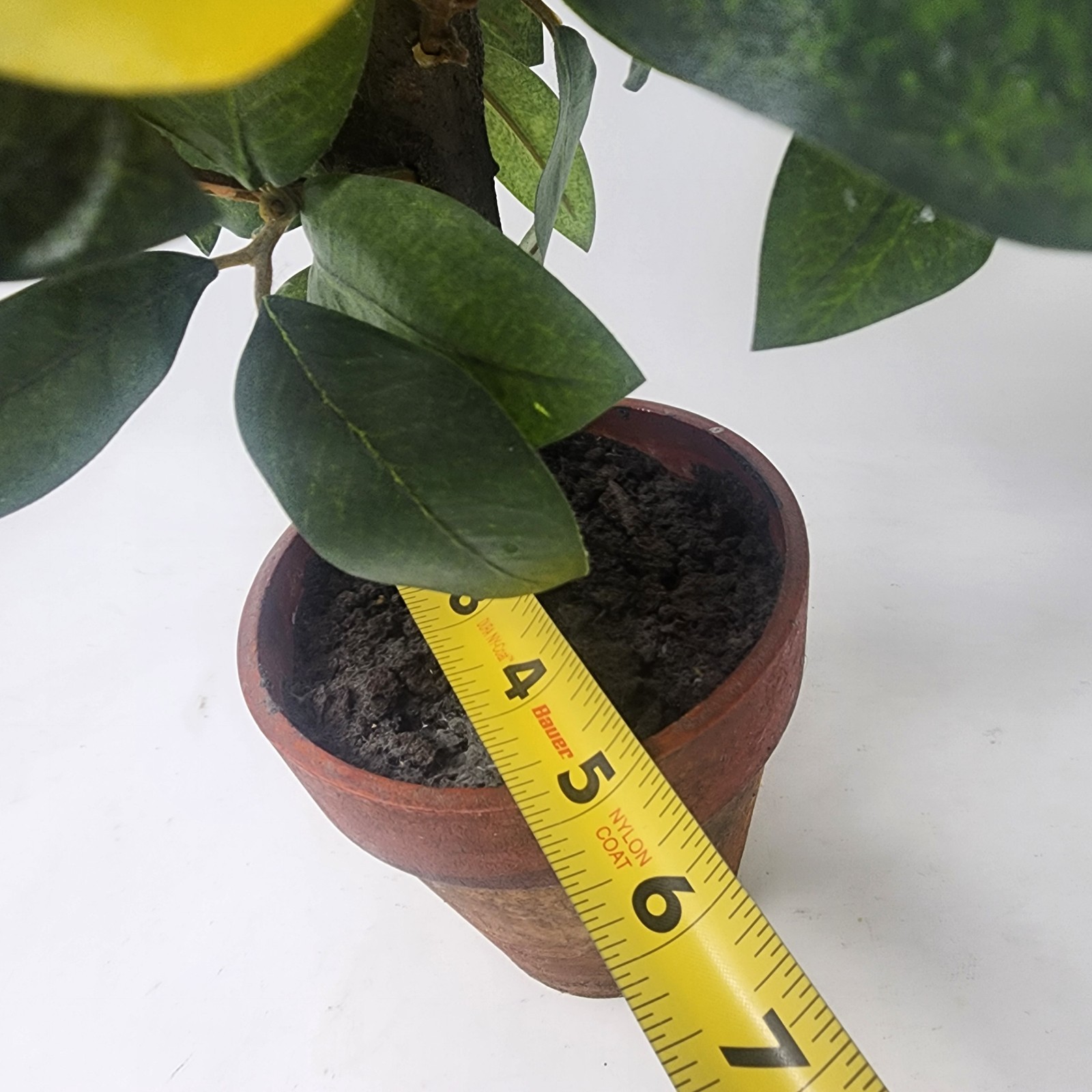 Lemon Tree 18” Silk Miniature Tabletop Decorative Topiary Clay Stylized Pot